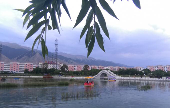 兄弟是不落空的肩膀