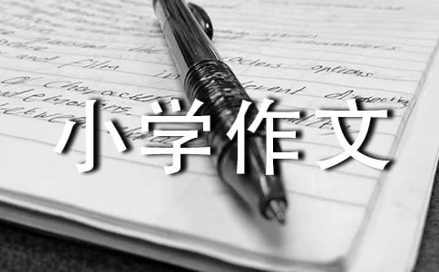 偶然小学作文