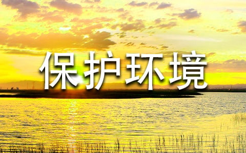 实用的保护环境的作文优秀（6篇）