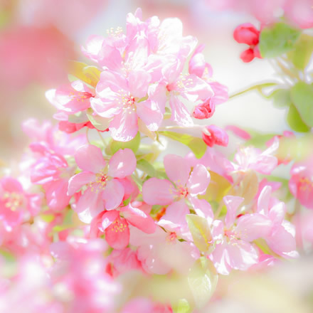 适合做微信头像的照片