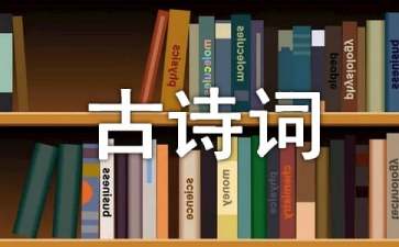 我与古诗词的不解之缘作文
