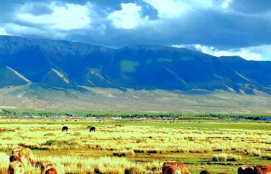 风是梦起的地方