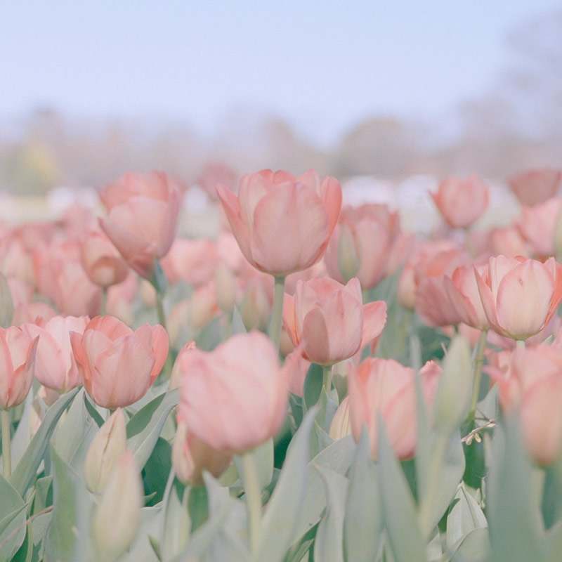 适合做微信头像的照片