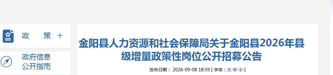 四川金阳县2026年县级增量政策性岗位公开招募公告(20人)
