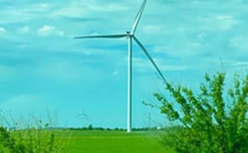 调皮的春风作文