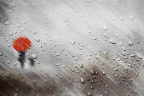 描写人物心情的句子 描写人物心情的句子