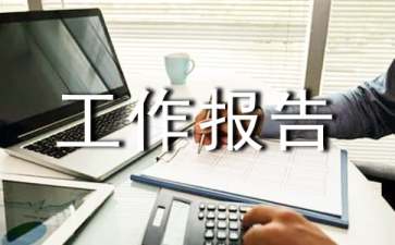 监理阶段工作报告