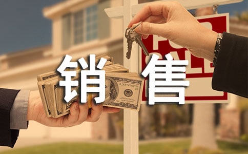 网络销售主管