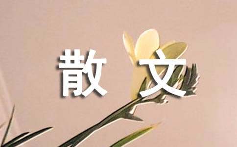 遇见散文随笔