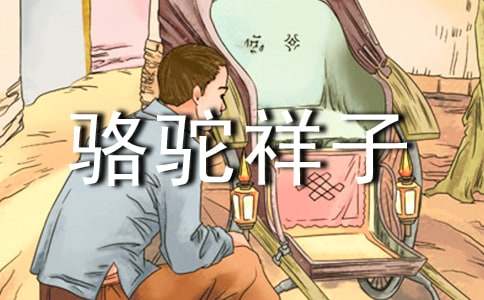 骆驼祥子读后感通用15篇