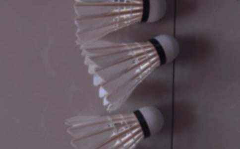 [精选]羽毛球比赛策划方案15篇