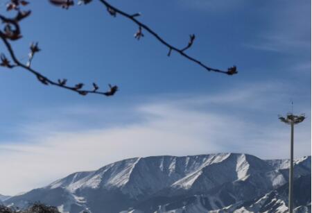 文字是心绪的真实表达