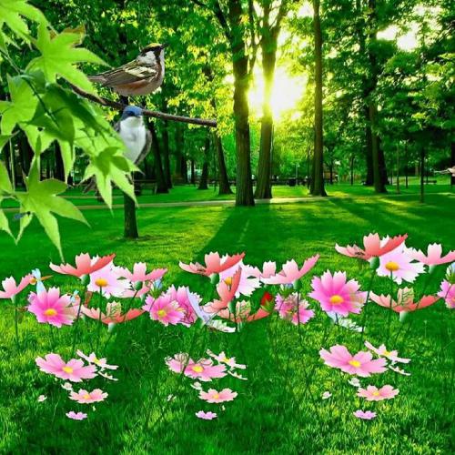 适合长期不换的头像，20张微信头像，各种风格，不重样