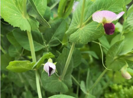 致敬乌鲁木齐 加油新疆 