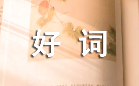 好词好句书大全