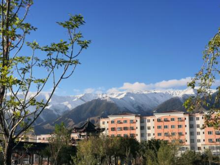 君子之交淡如水