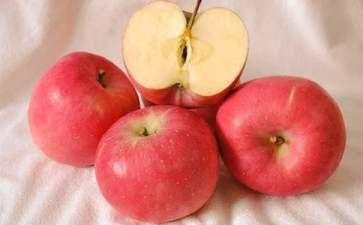 苹果树简笔画步骤图解