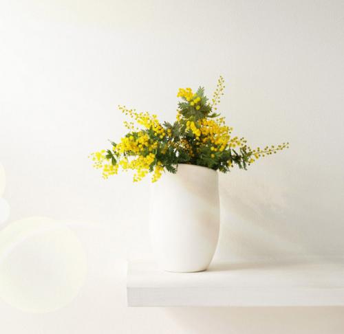 心情飞扬唯美句