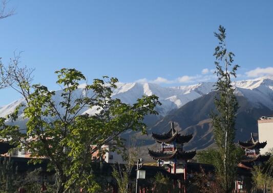 君子之交淡如水