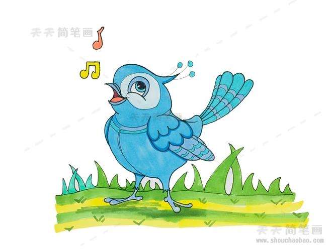 简笔画喜鹊简笔画图片带颜色教程一步一步的画喜鹊简笔画