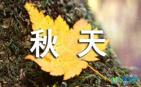 秋天田野的丰收景色作文