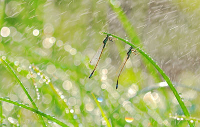 30岁人生感悟的句子带图片