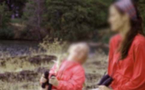 关于我的母亲我的家作文