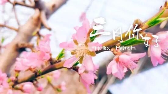 又到三月