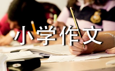 红楼别传之当qq进入大观园500字小学作文