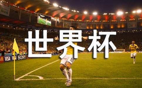 我们的“世界杯”小学作文