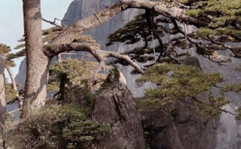 安徽黄山两日游最佳路线