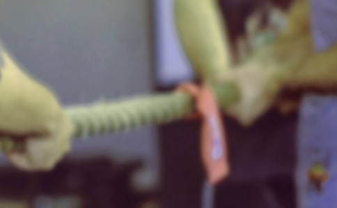 拔河!拔河初二作文1200字