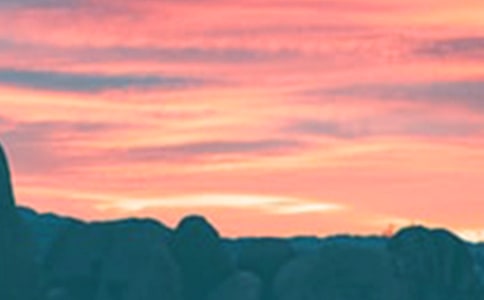 可怕的傍晚六年级作文