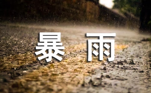 暴雨的750字作文