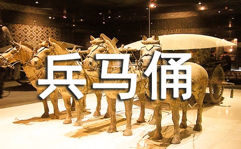 兵马俑作文汇总七篇
