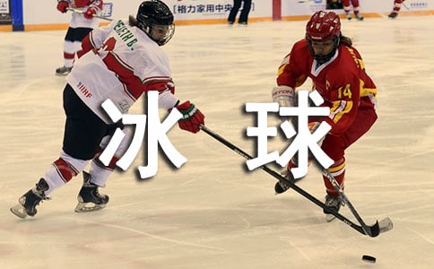 玩冰球小学作文