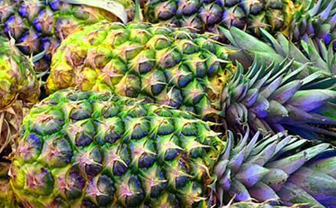 三年级作文菠萝