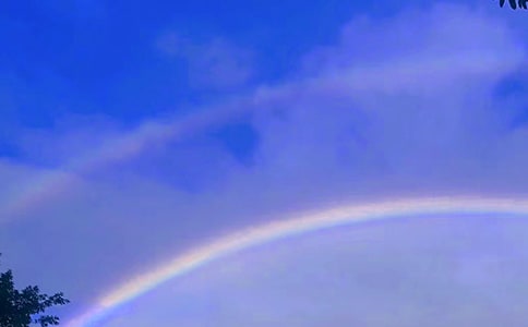 风雨之后的彩虹六年级作文