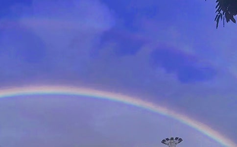 彩虹梦想350字作文