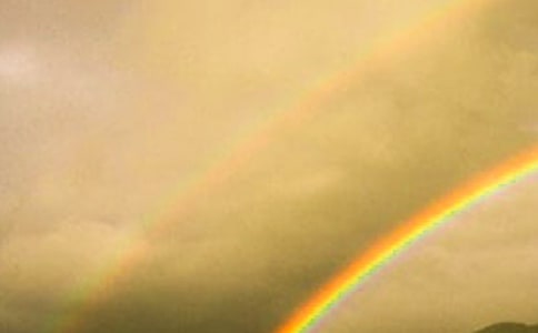 即使没有彩虹初三作文400字