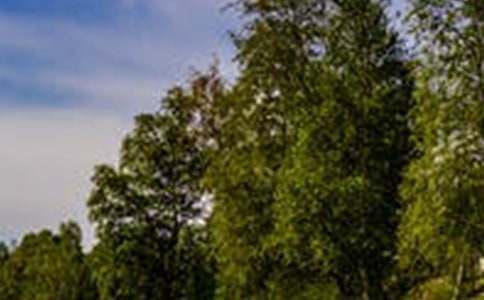 九如山瀑布群风景区特色