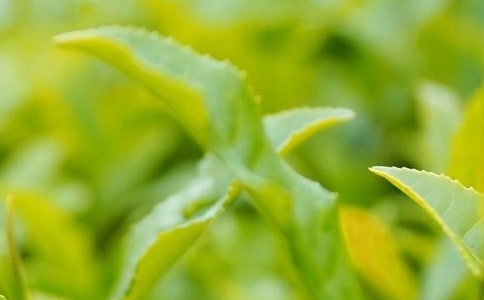 温暖的茶叶蛋作文