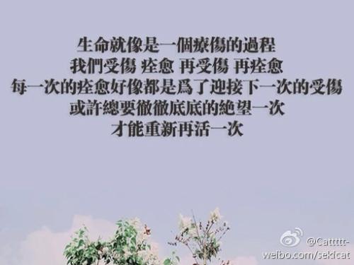 痛失挚爱的句子 关于挚爱的句子