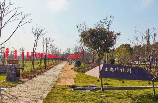 竹林，你别样的美