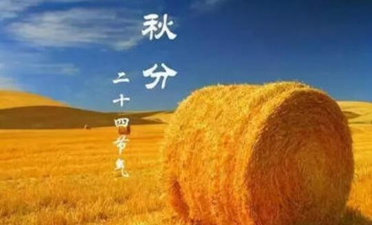 丰收节忆丰收河