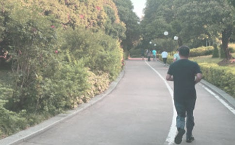 晨跑三年级作文