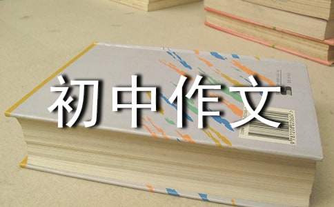 适合自己的,才是需要的初中作文800字