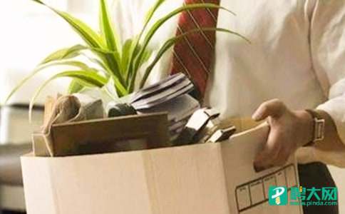 中英文辞职报告范文合集5篇