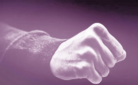 蚂蚁也会打架二年级作文