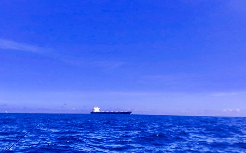 六月的大海四年级作文